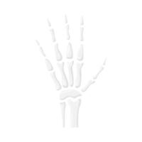 mano osso umano illustrazione vettore
