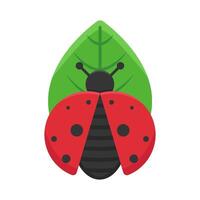 illustrazione di coccinella vettore