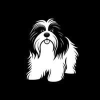 havanese, minimalista e semplice silhouette - vettore illustrazione