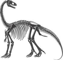 ai generato silhouette dinosauro scheletro nero colore solo vettore