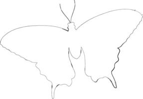 farfalla disegno design natura insetti. vettore