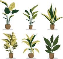impianti tropicale le foglie nel elegante fioriere e pentole. vettore illustrazione