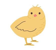 carino mano disegnato pulcino isolato su bianca sfondo. semplice illustrazione di poco bambino pollo. giallo fattoria uccello con frangia nel scarabocchio stile. figli di minimalista creatività. vettore