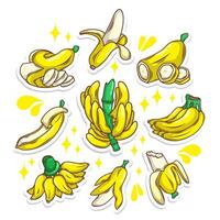 Banana frutta collezione impostare. mano disegnare illustrazione arte vettore