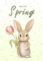 primavera manifesto con coniglietto e tulipano. carino acquerello coniglio, saluto carta, striscione. vettore