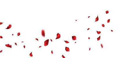 rosso rosa petali volontà autunno su astratto floreale sfondo con bellissima rosa petalo saluto carta design. vettore