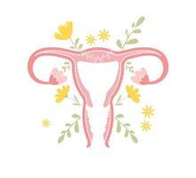 floreale utero vettore illustrazione isolato su bianca sfondo. bellissimo femmina riproduttore sistema