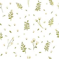 botanico senza soluzione di continuità modello mano disegnato. bianca sfondo con delicato fiori e le foglie. vettore