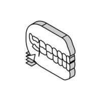 saggezza dente isometrico icona vettore illustrazione