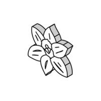 narciso fiore primavera isometrico icona vettore illustrazione