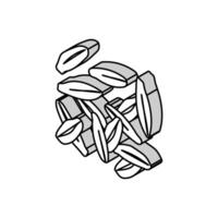 Chiodo di garofano cibo erba isometrico icona vettore illustrazione