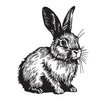 vettore disegno nel schizzo stile. Vintage ▾ coniglio. Pasqua coniglietto, lepre. nero e bianca illustrazione