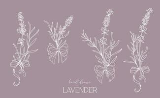 lavanda linea disegno. nero e bianca floreale mazzi di fiori. fiore colorazione pagina. floreale linea arte. bene linea lavanda illustrazione. mano disegnato fiori. botanico colorazione. nozze invito fiori vettore