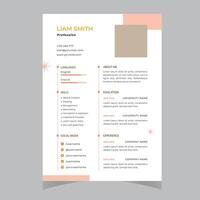 pulito moderno curriculum vitae e copertina lettera disposizione vettore modello per attività commerciale lavoro applicazioni, minimalista curriculum vitae CV modello