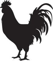 pollo silhouette vettore illustrazione bianca sfondo