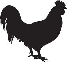 pollo silhouette vettore illustrazione bianca sfondo