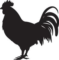 pollo silhouette vettore illustrazione bianca sfondo