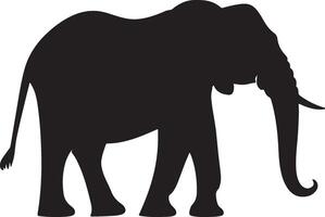 elefante silhouette vettore illustrazione bianca sfondo