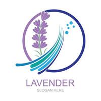 lavanda logo modello simbolo vettore natura