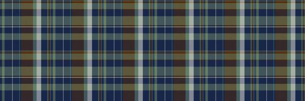 vivido dai un'occhiata senza soluzione di continuità modello, disposizione tartan vettore tessile. saia sfondo tessuto struttura plaid nel buio e pastello colori.