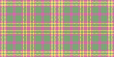 confortevole senza soluzione di continuità vettore modello, morbidezza tartan tessile struttura. femminilità sfondo tessuto plaid dai un'occhiata nel verde e rosa colori.