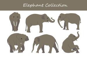 elefanti impostare. diverso pose, cappotto colori. vettore illustrazione