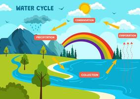 acqua ciclo vettore illustrazione con evaporazione, condensazione, precipitazione per collezione nel terra naturale ambiente nel piatto cartone animato sfondo