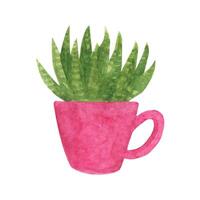 singolo carino mano disegnato acquerello cactus pentola vettore