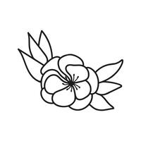 mano disegnato vettore fiori potentilla con fogliame