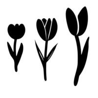 nero sagome di tulipani fiori isolato su bianca sfondo vettore