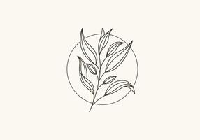 logo botanico foglia e viti linea minimalista, floreale logo moderno e semplice. modificabile file vettore