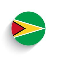 nazionale bandiera di Guyana icona vettore illustrazione isolato su bianca sfondo.