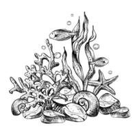 subacqueo mondo clipart con mare animali Pesci, conchiglie, corallo e alghe. grafico illustrazione mano disegnato nel nero inchiostro. composizione eps vettore