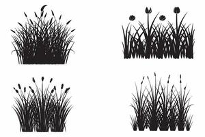 impostato di sagome erba schema vettore illustrazione su bianca sfondo
