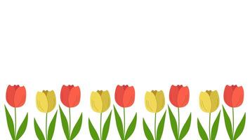 bellissimo primavera sfondo con tulipani fioritura. modello con copia spazio. vettore illustrazione isolato.