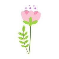 mano disegnato primavera fiori, floreale e verde le foglie. multicolore fioritura botanico elementi per disegni. piatto vettore illustrazione isolato su bianca sfondo.