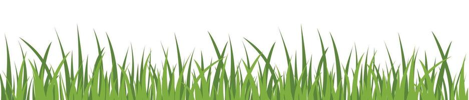 verde erba cartone animato isolato vettore