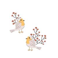 primavera uccello e autunno ramo su bianca sfondo per saluto carta, copertina design. vettore illustrazione isolato. può Usato per sfondo, manifesto, Stampa design per stoffa.