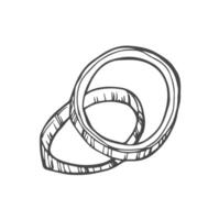 schema il giro cipolla fette isolato su bianca, schizzo illustrazione di cipolla anelli vettore