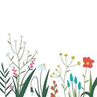manifesto con fiori selvatici, erbe aromatiche nel botanico stile isolato su bianca. bandiera modello con floreale elementi e posto per testo. estate mazzo per carte, saluti, invito. vettore illustrazione