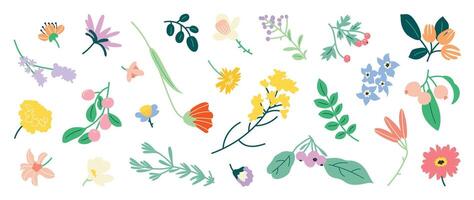 collezione di primavera colorato fiore elementi vettore. impostato floreale di fiore di campo, foglia ramo, fogliame su bianca sfondo. mano disegnato fiorire illustrazione per arredamento, Pasqua, ringraziamento, clipart. vettore