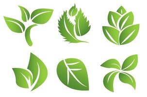 un' impostato di verde le foglie su un' bianca sfondo, per loghi, disegni, per il simbolismo di il verde pianeta vettore