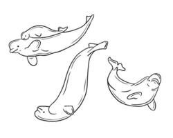 schema mano disegnato abbozzato disegni di beluga. nero abbozzato schema animali su bianca sfondo. ideale per colorazione pagine, tatuaggio, modello vettore