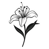 giglio fiore nero silhouette vettore