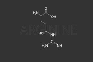 arginina molecolare scheletrico chimico formula vettore