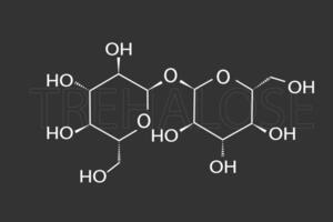 trealosio molecolare scheletrico chimico formula vettore