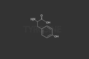 tirosina molecolare scheletrico chimico formula vettore