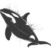 ai generato silhouette il orca o uccisore balena pesce animale nero colore solo vettore