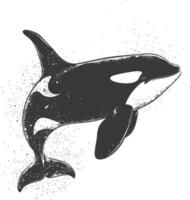 ai generato silhouette il orca o uccisore balena pesce animale nero colore solo vettore