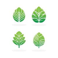 impostato di verde foglia icona vettore illustrazioni. paesaggio disegno, giardino, pianta, natura e ecologia vettore logo. ecologia contento vita logotipo concetto icona. vettore illustrazione, grafico design gratuito vettore